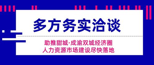多方務實洽談 助推甜城人力資源市場建設盡快落地