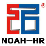 河北諾亞人力資源發(fā)展集團(tuán) 專業(yè)人力資源服務(wù)的領(lǐng)航者